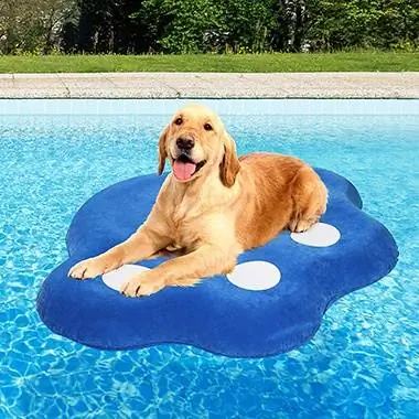 7 Beste Dog Pool Floats van 2023 – Resensies & Topkeuses