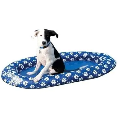 SwimWays 13705 Dog Pool Float