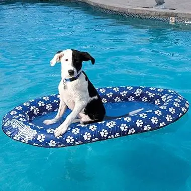 Köpek Havuzu Float-SwimWays-Amazont