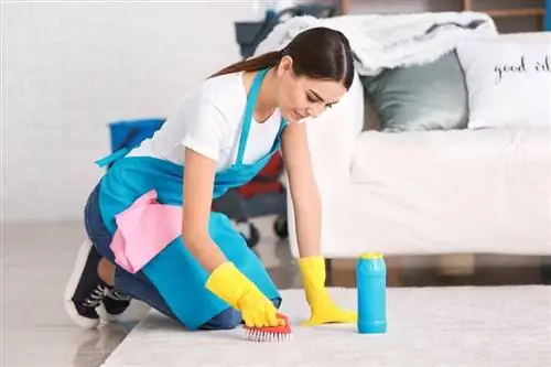 femme qui nettoie un tapis