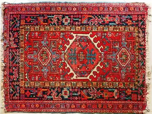 การกำจัดคราบสัตว์เลี้ยง Oriental Rug (3 วิธีที่เป็นไปได้)