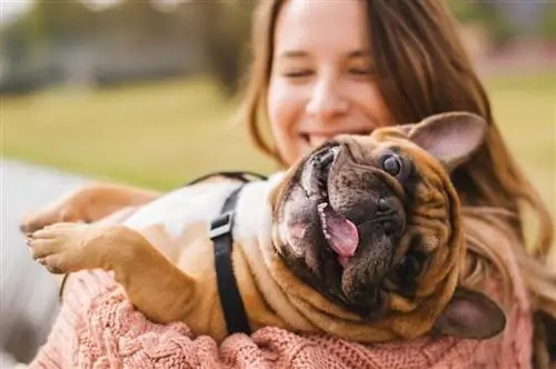 Hvad koster det at klone en hund? Alt hvad du behøver at vide