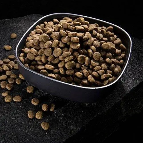 10 Dog Kibbles ที่ดีที่สุดประจำปี 2023 – รีวิว & อันดับยอดนิยม