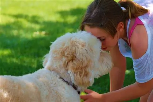 jong vrou en goldendoodle hond neus tot neus met mekaar