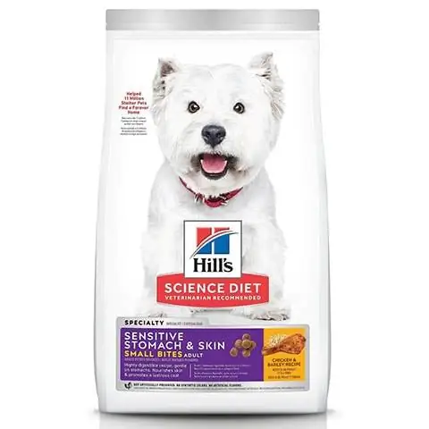 Hill's Science Diet Adult Sensitive Stomach and Skin Dry Dog Food