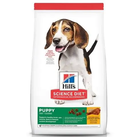 Hill's Science Diet Puppy Dry Dog Food