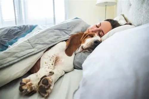 Slapen met je hond: 6 wetenschappelijk onderbouwde voordelen