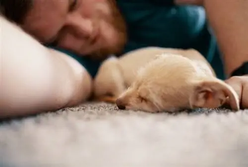 Homem dormindo com seu cachorro