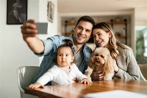 poodle-with-family_Drazen-Zigic_shutterstock