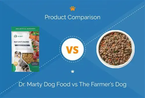 Dr. Marty Dog Food vs The Farmer's Dog: 2023 Paghahambing