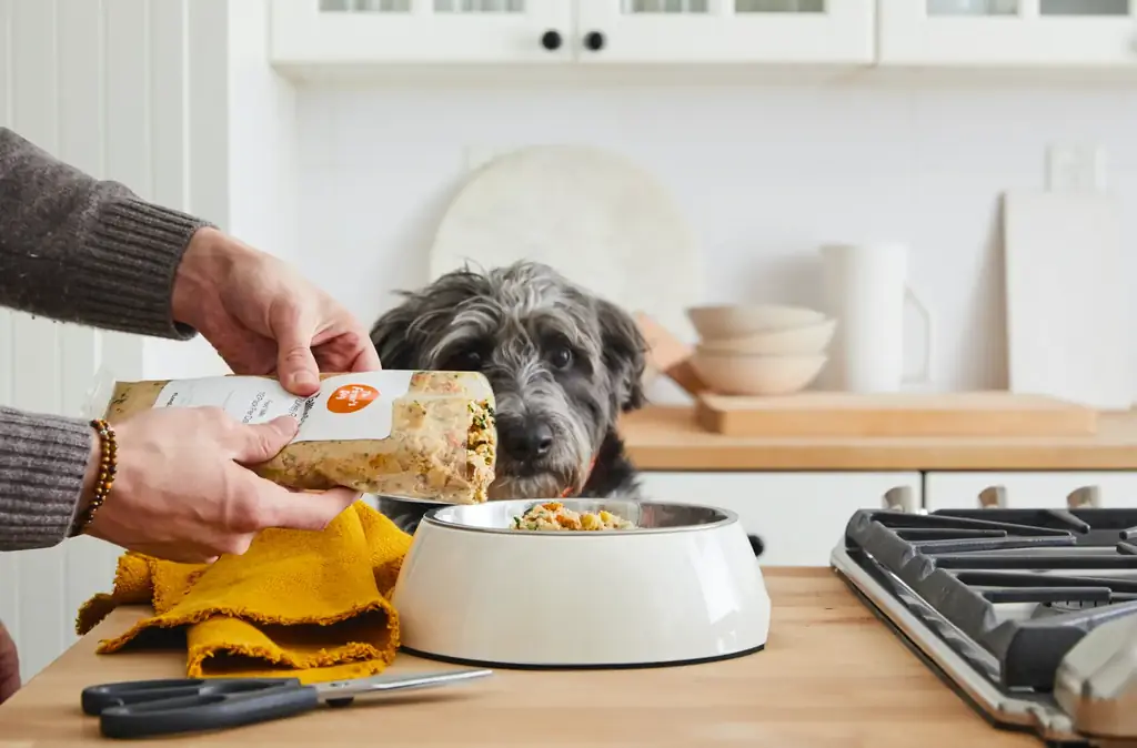 Bondehund som väntar på att mat ska hällas upp