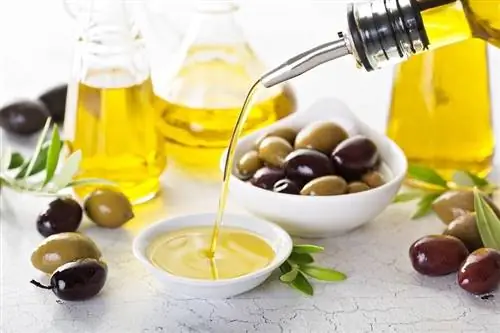 Olive Oil_shutterstock_Elena Veselová