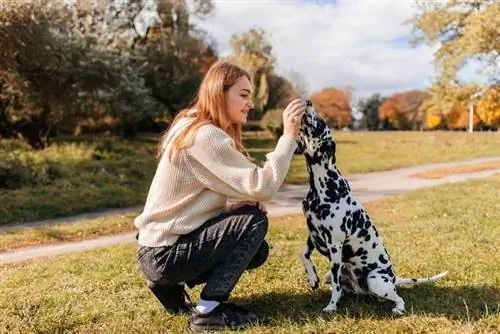 dalmatiankoira ja hänen omistajansa leikkimässä ulkona