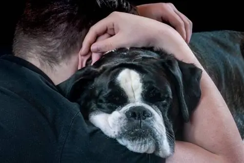 un hombre abrazando a un perro boxer