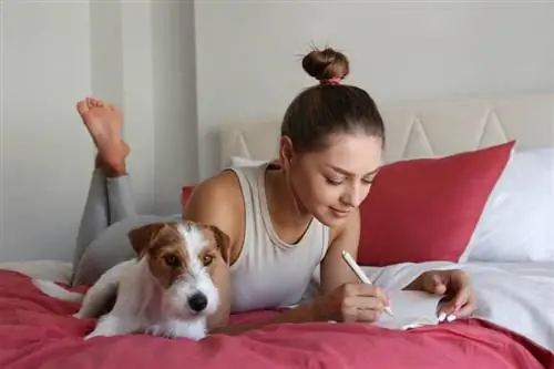 hermosa mujer joven acostada en la cama con su adorable cachorro Jack Russel terrier de pelo de alambre