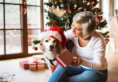 18 Hadiah Krismas DIY Percuma untuk Anjing dan Pencinta Anjing (dengan Arahan)