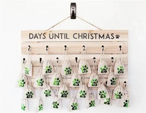 DIY İt Advent Təqvimi