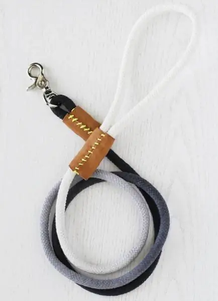 DIY Moderne Dip-Dyed Rope Dog Leash