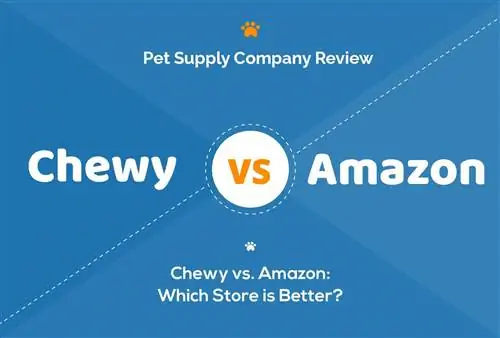 Chewy vs Amazon: Watter aanlyn troeteldierwinkel is beter in 2023?