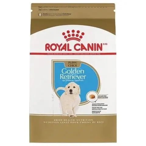 Royal Canin Golden Retriever Yavru Kuru Köpek Maması