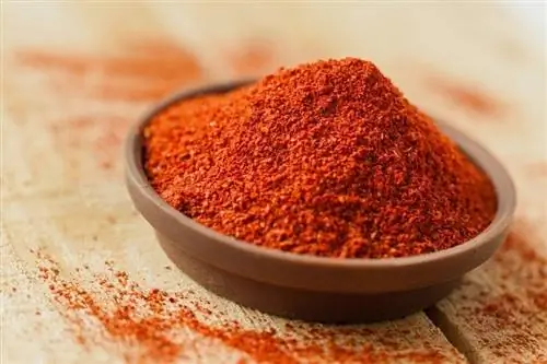 Je, Paka Wanaweza Kula Paprika? Unachohitaji Kujua