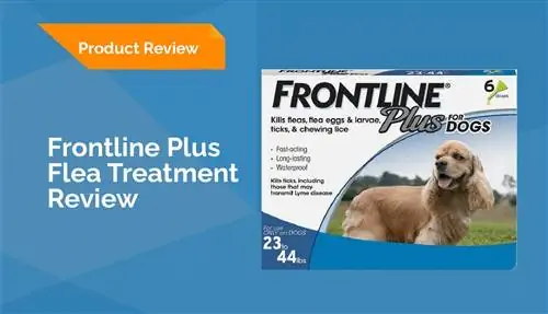 Frontline Plus Paggamot ng Flea para sa Mga Aso Review 2023: Mga Pros, Cons & Verdict