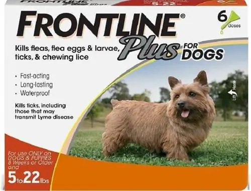 Frontline Plus Flea & Tick Behandeling voor honden van kleine rassen, 5 - 22 lbs