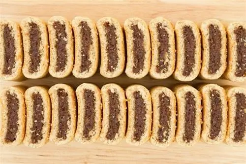 Fig newtons