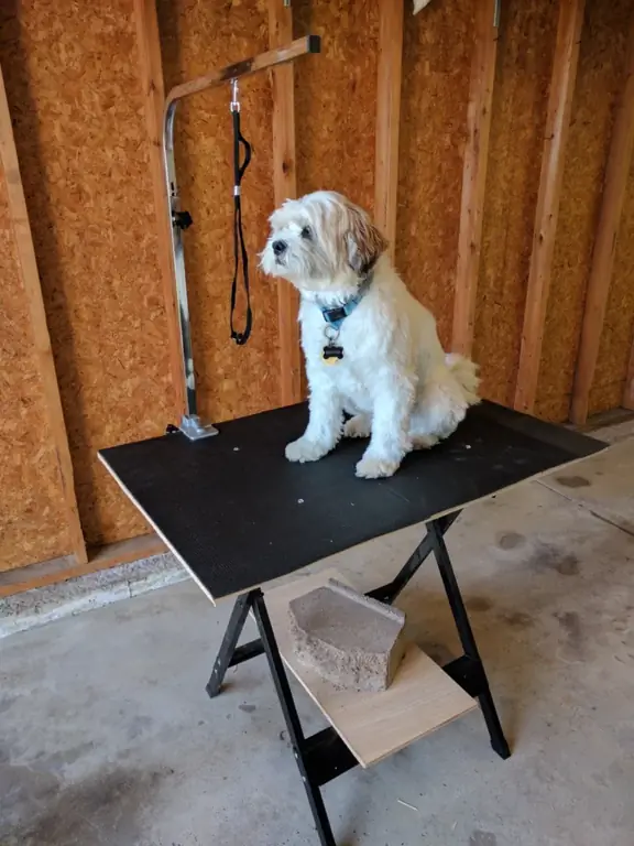 Easy DIY Dog Grooming Table – Mga Araw ng Aso ni Dexter