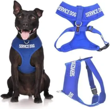 Service Dog Kode Warna Biru Waterproof Padded Adjustable Non Pull