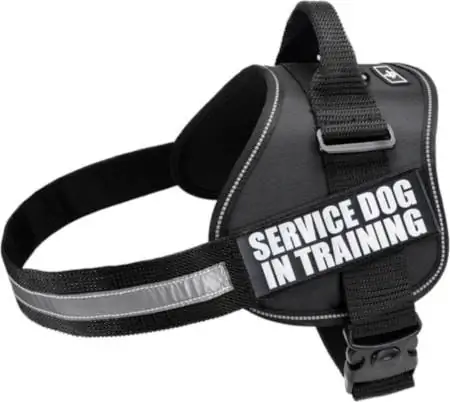 Doggie Stylz Service Dog in Training Vest