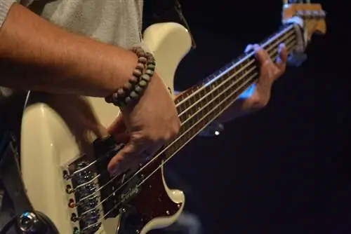 Basgitaar wordt gespeeld door gitarist