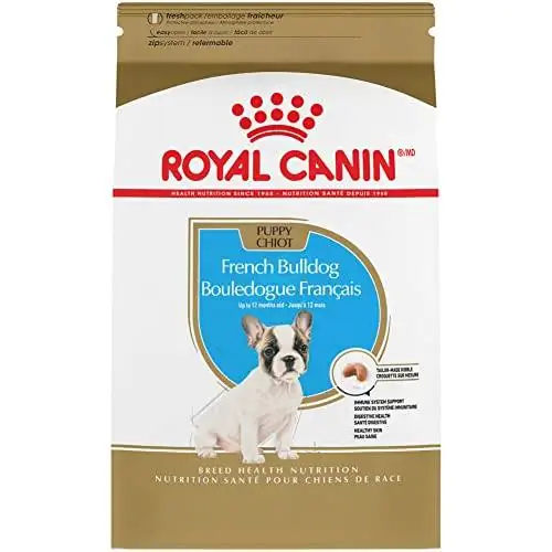 Nutrisi Kesehatan Royal Canin Breed French Bulldog