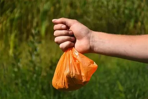 kezében egy kutyapikkel teli műanyag zacskó