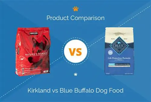 Kirkland vs Blue Buffalo koiranruoka: 2023 vertailu