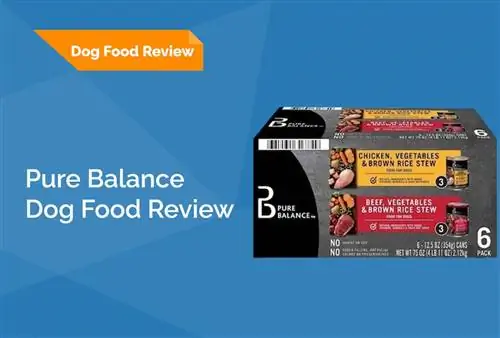 Pure Balance Dog Food მიმოხილვა 2023: იხსენებს, დადებითი & უარყოფითი მხარეები