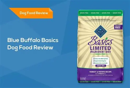 Blue Buffalo Basics Dog Food Review: Recalls, Pros & Conss