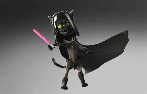 um gato preto engraçado vestindo uma fantasia de star wars