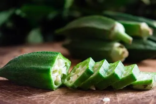 Rebanada de okra