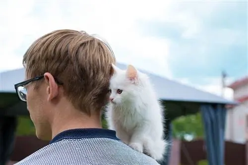 gato en el hombro del hombre