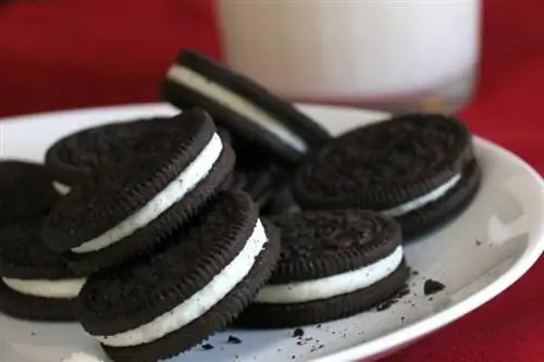 İtim Oreo peçenyelərini yedi! Nə etməli (Vet Cavabı)