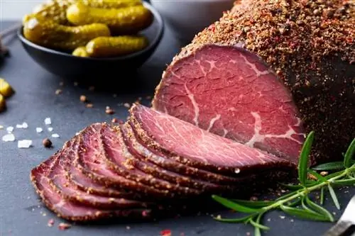 Ali lahko mačke jedo pastrami? Kaj morate vedeti