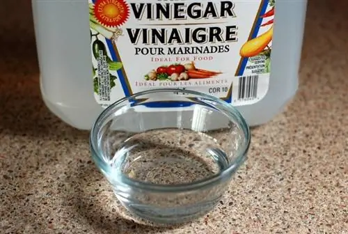 vinäger