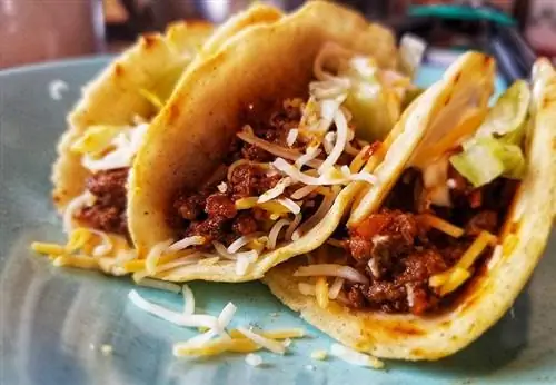 Mohou kočky jíst tacos? Co potřebuješ vědět