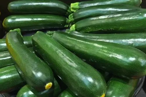 courgettes