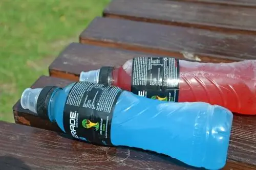 ሁለት የ Powerade ጠርሙሶች ጠረጴዛው ላይ ይተኛሉ