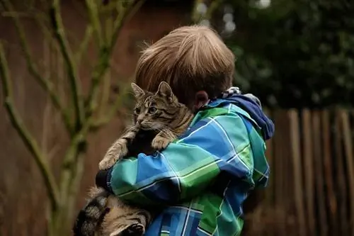 So zeigen Sie Ihrer Katze, dass Sie sie lieben: 10 einfache Möglichkeiten (mit Bildern)