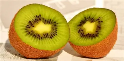 fruta de kiwi