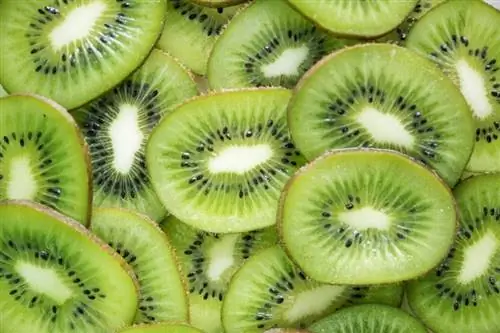 sliced kiwi txiv hmab txiv ntoo