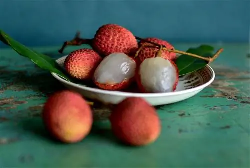 lychee sa isang plato